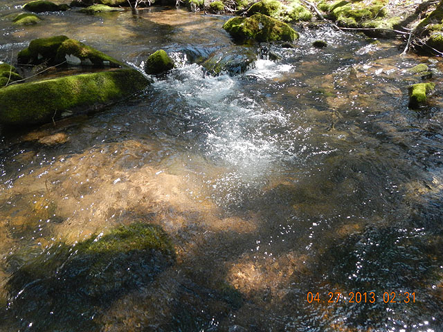 poe trip 04-26-2013 026.jpg -                                Another pretty pocket.
